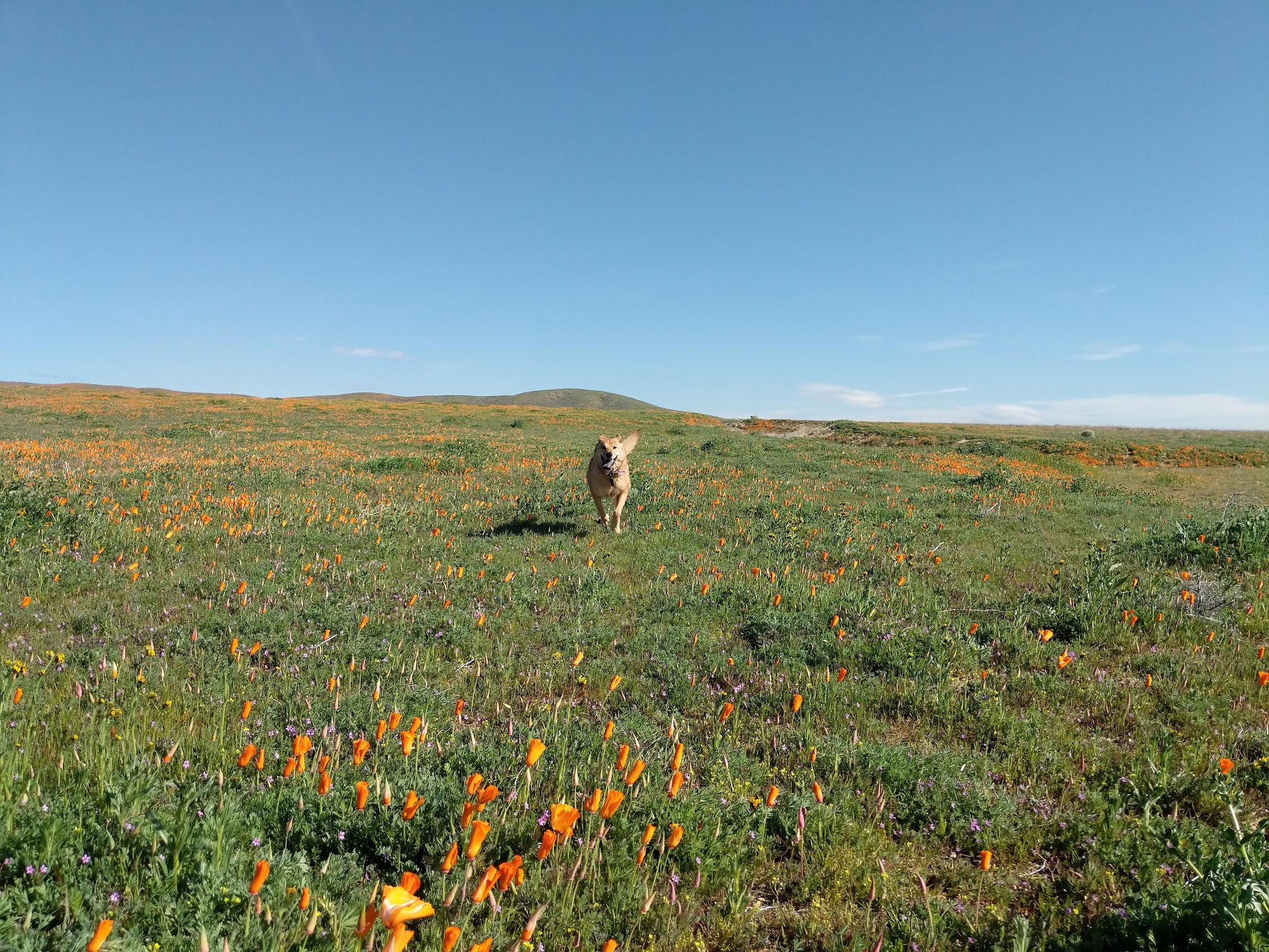 Destiny is like sailing